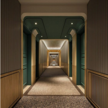 CARPET 3