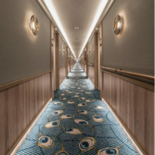 CARPET 1