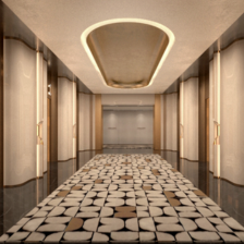 CARPET 5
